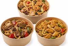 JAPANESE UDON
