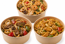 JAPANESE UDON